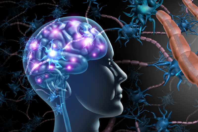 Brain Stroke/Paralysis