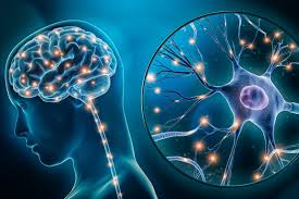 Neuro Specialist In Balaghat