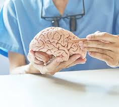 Neuro Specialist In Chhindwara