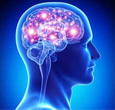 Neuro Specialist In Satna