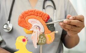 Neurosurgeon In Balaghat