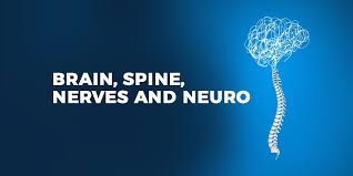 Spine And Brain Clinic In Nagpur