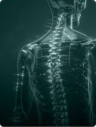 Spine Specialist In Jabalpur