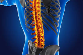 Spine Specialist in Bhandara