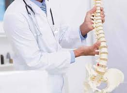 Spine Surgeon In Hoshangabad (Narmadapuram)