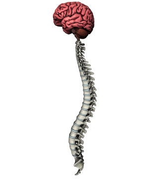 Brain And Spine Doctor In Nagpur