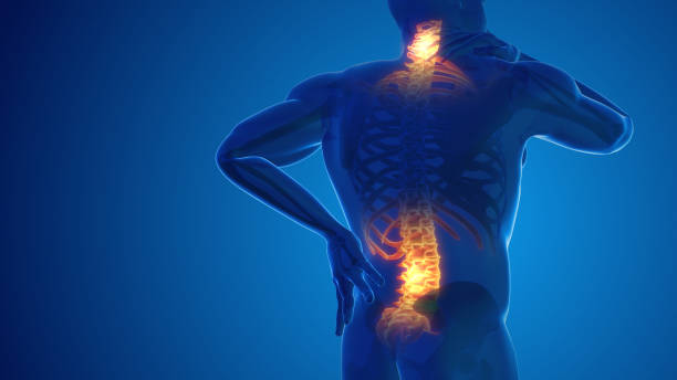 Cervical Spine Pain Treatment In Nagpur