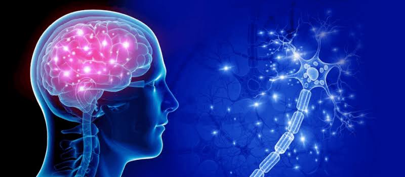 Neuro Opd In Nagpur