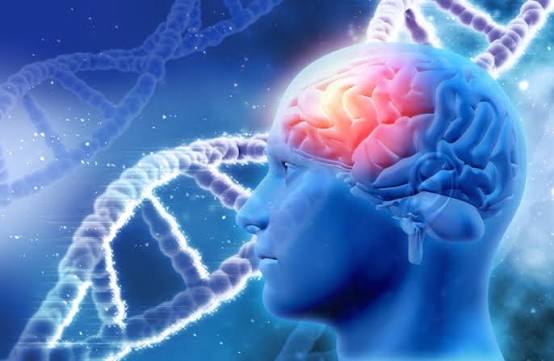 Neuro Specialist In Hoshangabad (Narmadapuram)