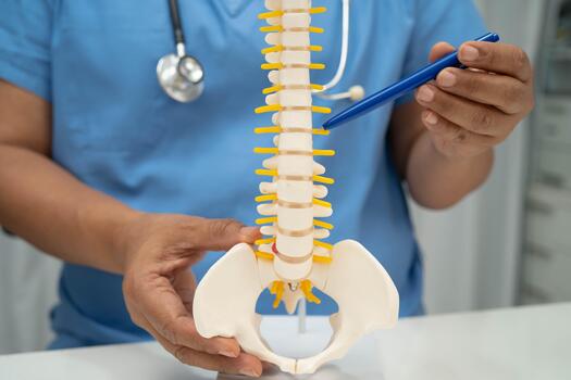 Spine Surgeon In Betul