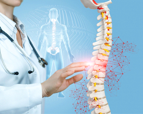 Spine Surgeon In Bhandara